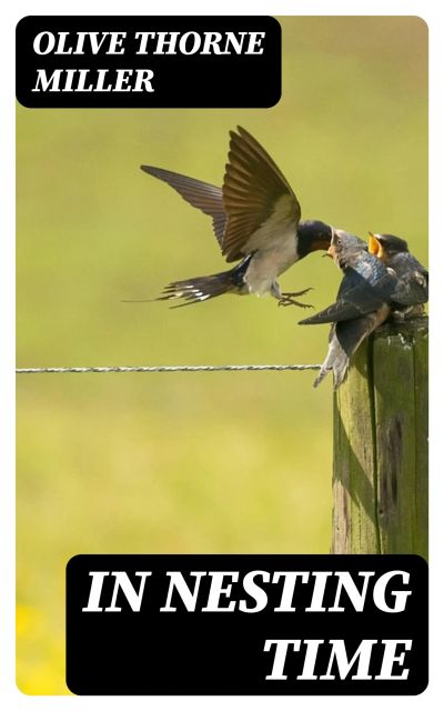 In Nesting Time
