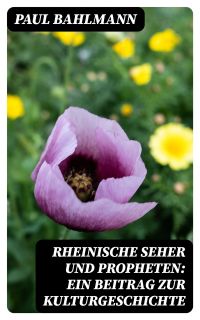 Rheinische Seher und Propheten: Ein Beitrag zur Kulturgeschichte